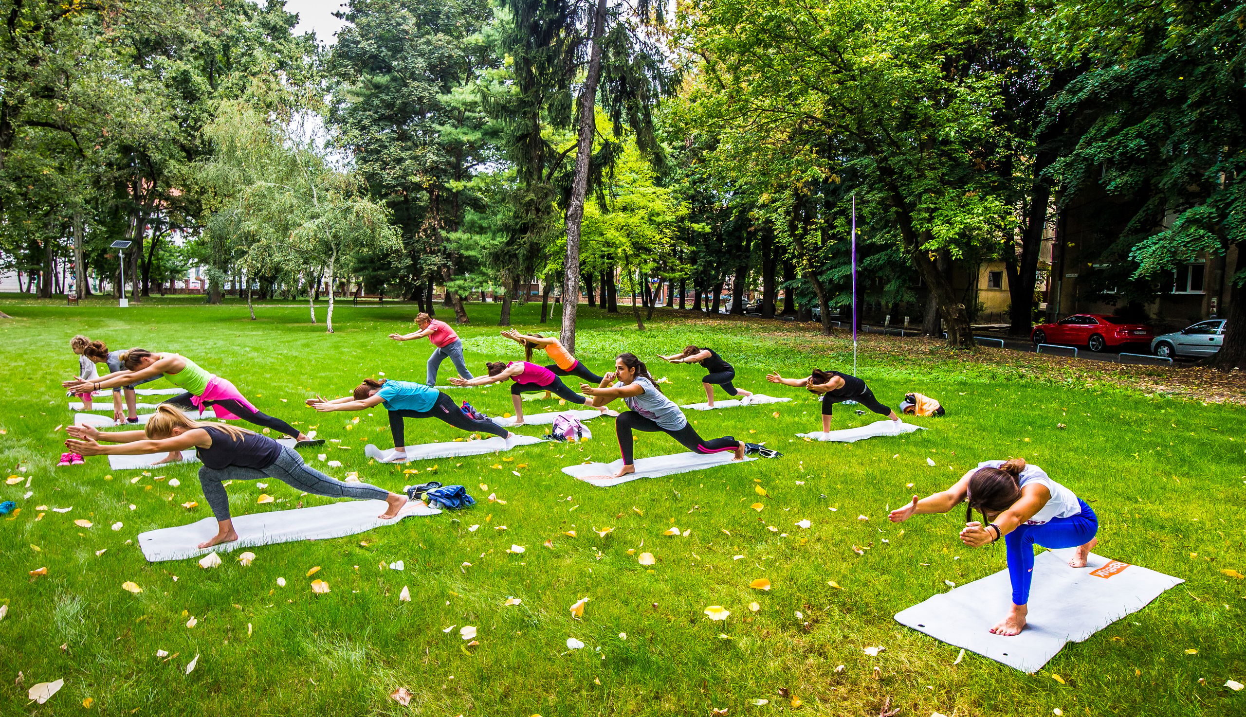 Women practicing yoga in an open park surrounded by lush greenery, promoting fitness and well-being.